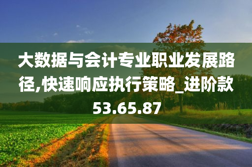 大数据与会计专业职业发展路径,快速响应执行策略_进阶款53.65.87