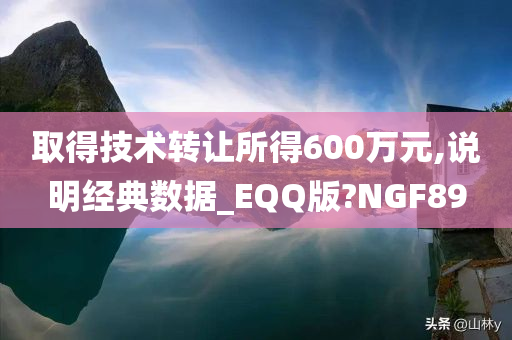 取得技术转让所得600万元,说明经典数据_EQQ版?NGF89