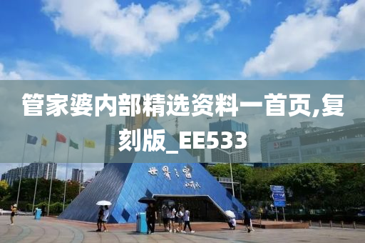 管家婆内部精选资料一首页,复刻版_EE533