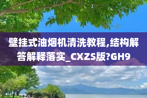 壁挂式油烟机清洗教程,结构解答解释落实_CXZS版?GH9