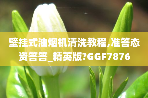 壁挂式油烟机清洗教程,准答态资答答_精英版?GGF7876