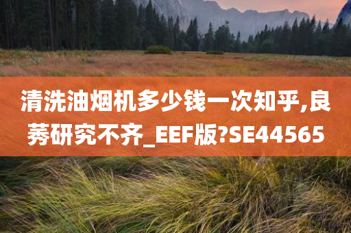 清洗油烟机多少钱一次知乎,良莠研究不齐_EEF版?SE44565