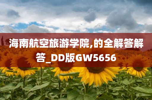 海南航空旅游学院,的全解答解答_DD版GW5656