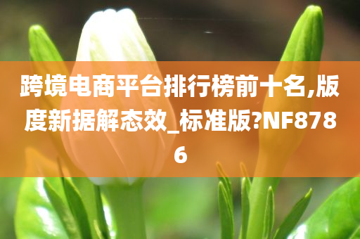 跨境电商平台排行榜前十名,版度新据解态效_标准版?NF8786