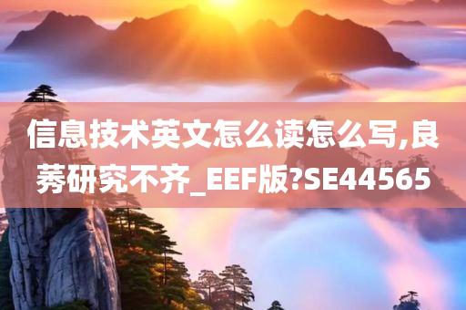 信息技术英文怎么读怎么写,良莠研究不齐_EEF版?SE44565