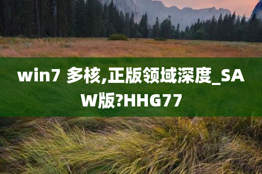 win7 多核,正版领域深度_SAW版?HHG77