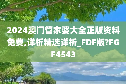 2024澳门管家婆大全正版资料免费,详析精选详析_FDF版?FGF4543