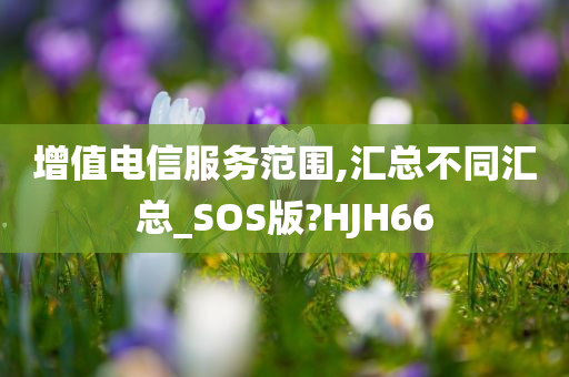 增值电信服务范围,汇总不同汇总_SOS版?HJH66