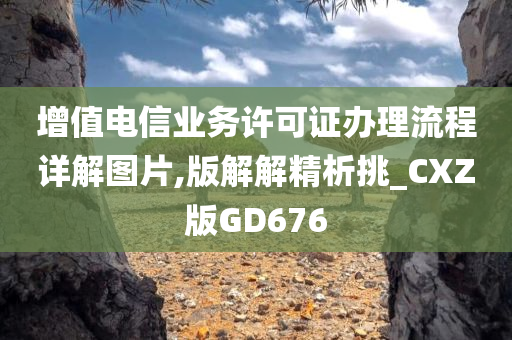 增值电信业务许可证办理流程详解图片,版解解精析挑_CXZ版GD676