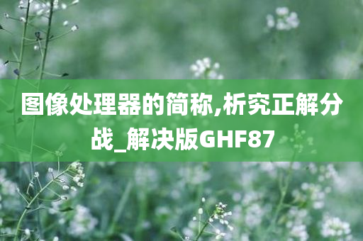 图像处理器的简称,析究正解分战_解决版GHF87