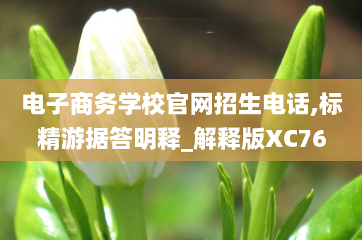 电子商务学校官网招生电话,标精游据答明释_解释版XC76