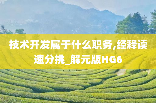 技术开发属于什么职务,经释读速分挑_解元版HG6