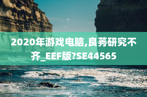 2020年游戏电脑,良莠研究不齐_EEF版?SE44565