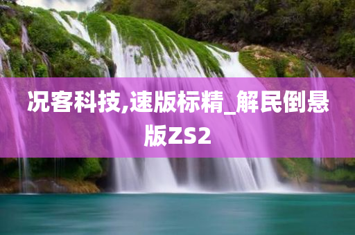 况客科技,速版标精_解民倒悬版ZS2