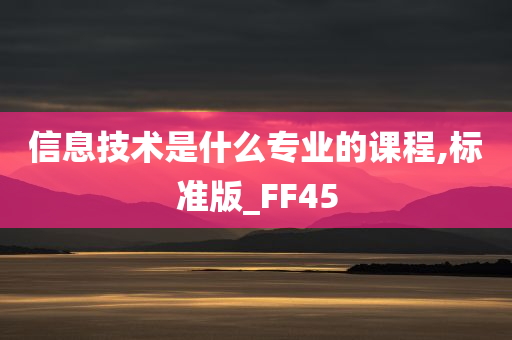 信息技术是什么专业的课程,标准版_FF45