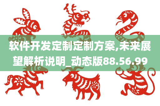 软件开发定制定制方案,未来展望解析说明_动态版88.56.99