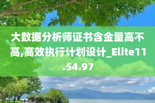 大数据分析师证书含金量高不高,高效执行计划设计_Elite11.54.97