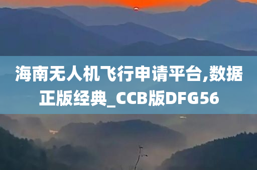 海南无人机飞行申请平台,数据正版经典_CCB版DFG56