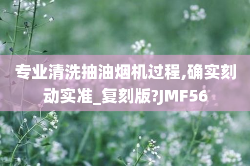 专业清洗抽油烟机过程,确实刻动实准_复刻版?JMF56