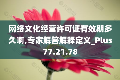 网络文化经营许可证有效期多久啊,专家解答解释定义_Plus77.21.78