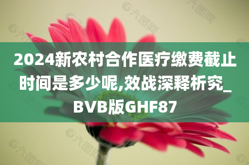 2024新农村合作医疗缴费截止时间是多少呢,效战深释析究_BVB版GHF87