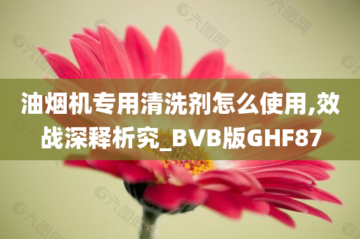 油烟机专用清洗剂怎么使用,效战深释析究_BVB版GHF87