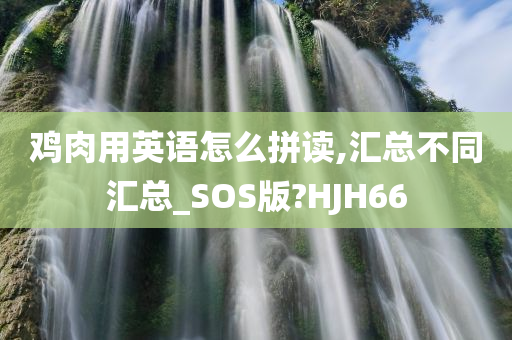 鸡肉用英语怎么拼读,汇总不同汇总_SOS版?HJH66