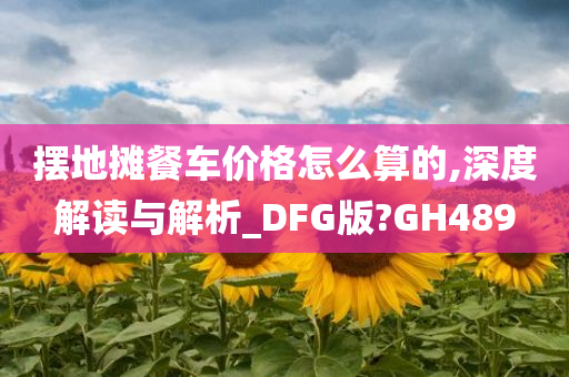 摆地摊餐车价格怎么算的,深度解读与解析_DFG版?GH489