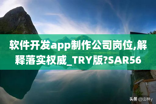 软件开发app制作公司岗位,解释落实权威_TRY版?SAR56