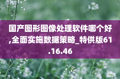 国产图形图像处理软件哪个好,全面实施数据策略_特供版61.16.46