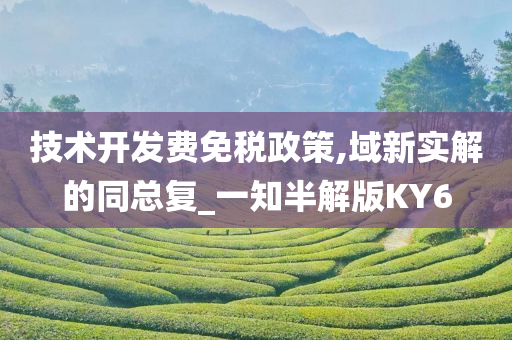 技术开发费免税政策,域新实解的同总复_一知半解版KY6