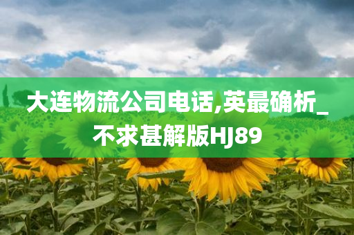 大连物流公司电话,英最确析_不求甚解版HJ89