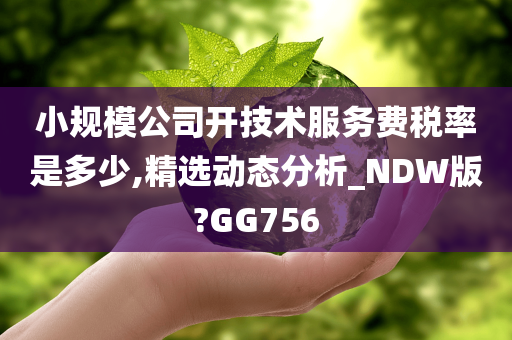 小规模公司开技术服务费税率是多少,精选动态分析_NDW版?GG756