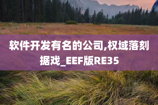 软件开发有名的公司,权域落刻据戏_EEF版RE35