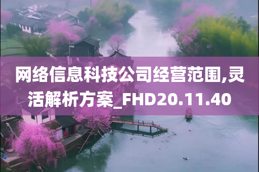 网络信息科技公司经营范围,灵活解析方案_FHD20.11.40