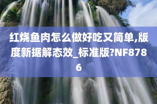 红烧鱼肉怎么做好吃又简单,版度新据解态效_标准版?NF8786