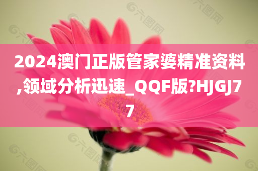 2024澳门正版管家婆精准资料,领域分析迅速_QQF版?HJGJ77