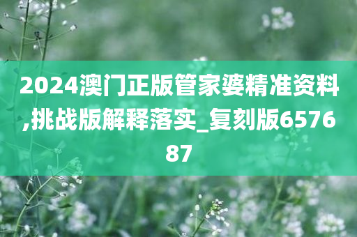 2024澳门正版管家婆精准资料,挑战版解释落实_复刻版657687