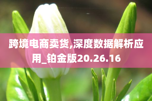 跨境电商卖货,深度数据解析应用_铂金版20.26.16