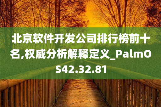 北京软件开发公司排行榜前十名,权威分析解释定义_PalmOS42.32.81