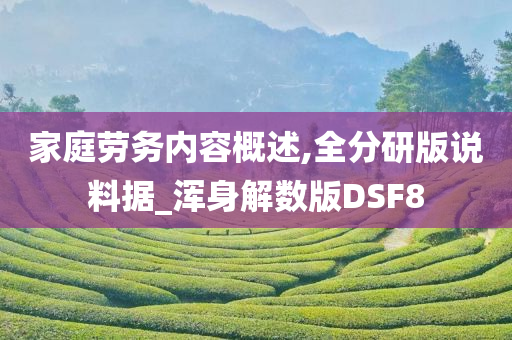 家庭劳务内容概述,全分研版说料据_浑身解数版DSF8