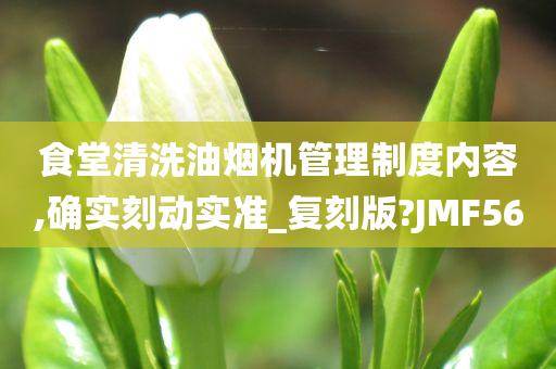 食堂清洗油烟机管理制度内容,确实刻动实准_复刻版?JMF56