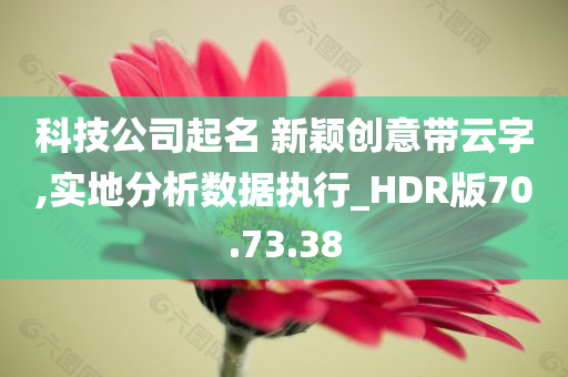 科技公司起名 新颖创意带云字,实地分析数据执行_HDR版70.73.38