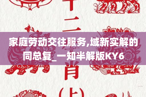 家庭劳动交往服务,域新实解的同总复_一知半解版KY6