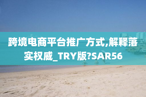 跨境电商平台推广方式,解释落实权威_TRY版?SAR56