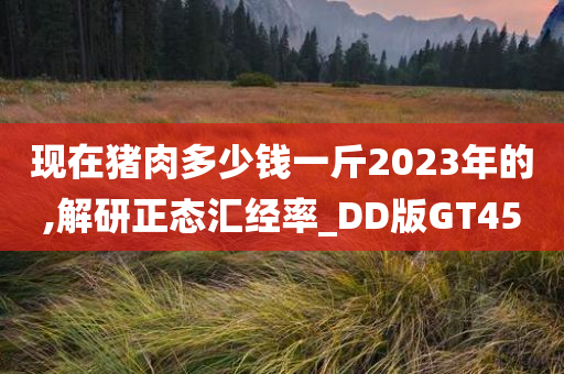 现在猪肉多少钱一斤2023年的,解研正态汇经率_DD版GT45