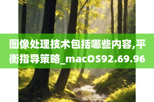 图像处理技术包括哪些内容,平衡指导策略_macOS92.69.96