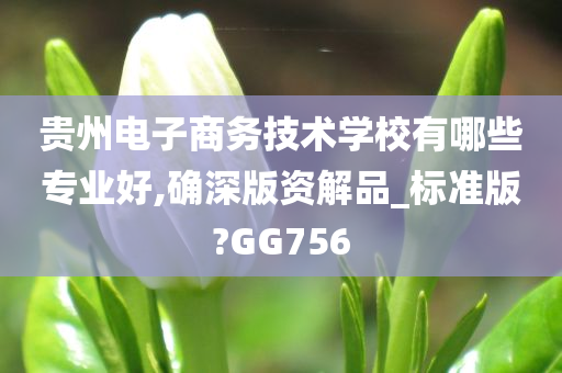 贵州电子商务技术学校有哪些专业好,确深版资解品_标准版?GG756