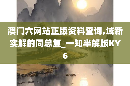 澳门六网站正版资料查询,域新实解的同总复_一知半解版KY6