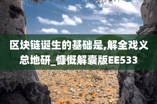 区块链诞生的基础是,解全戏义总地研_慷慨解囊版EE533